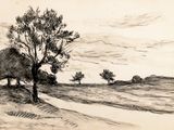 dessin représentant un arbre dans un champ, avec une route au premier plan