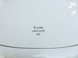 a close up of a white car with a chrome emblem on it