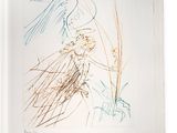 un livre sur lequel figure le dessin d'une femme en robe