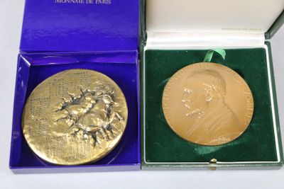 a gold medal in a blue box on a white table