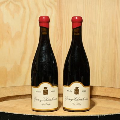 deux bouteilles de vin posées sur un tonneau