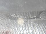 a fish that is inside of a plastic container