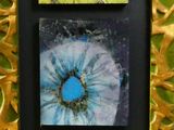 une photo d'une photo d'une photo d'une photo d'une fleur