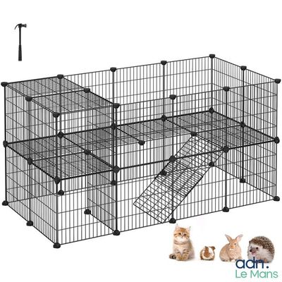 un chat et un chien sont assis devant une cage