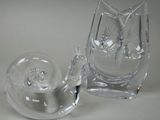 un vase en verre transparent avec un escargot à l'intérieur