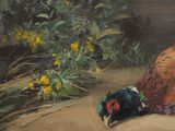 a painting of a pheasant and a pheasant on a ledge
