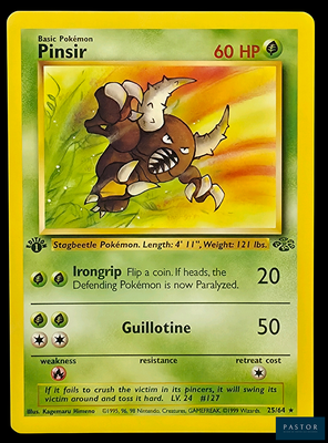 une photo d'une carte Pokémon sur laquelle figure un taureau