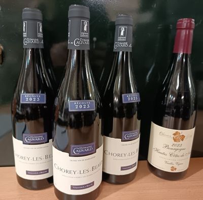 plusieurs bouteilles de vin sont alignées sur un comptoir