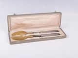 a silverware set in a case with a spoon and a spoon