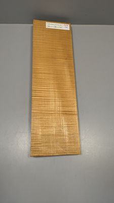 Fond en érable pour violon, ~45,5cm