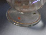 a small red bug that is sitting on a glass cup