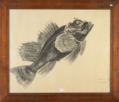 drawing of a fish in a wooden frame on a wall