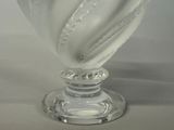 a glass vase with a curved base on a table
