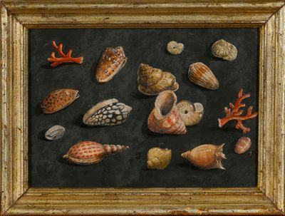 an oil painting of seashells and corals on a black background