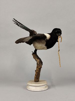 un oiseau perché sur une branche, tenant une chaîne dans son bec