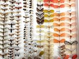 many different types of insects displayed in a display case