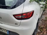 a tree that has fallen on the back of a car