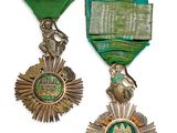deux médailles et un ruban vert sur fond blanc