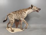 a stuffed hyena that is standing on a piece of paper