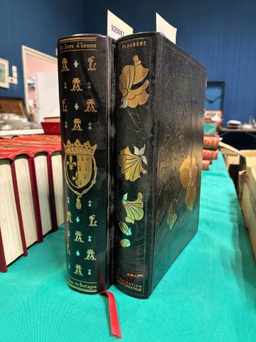 Gustave FLAUBERT, « L’éducation sentimentale, illustrations de Lé