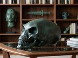 a skull sitting on a table in front of a bookshelf