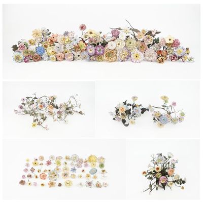 de nombreux types de fleurs disposés sur un fond blanc