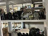 une étagère remplie de figurines d'éléphants de toutes sortes