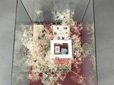 a glass box with a picture of a house inside of it