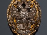 a close up of a badge on a black surface with a gray background