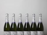 six bouteilles de vin mousseux alignées sur une table