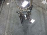 une table en verre surmontée d'une tête de cerf