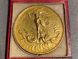 an image of a gold medal in a red case