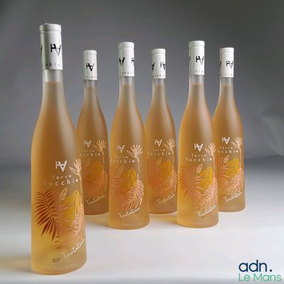 six bouteilles de vin sont alignées sur une surface blanche