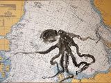 a drawing of an octopus on a map of the ocean