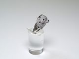 a ring that is sitting on top of a glass