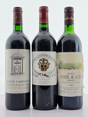 trois bouteilles de vin sont alignées sur une surface blanche
