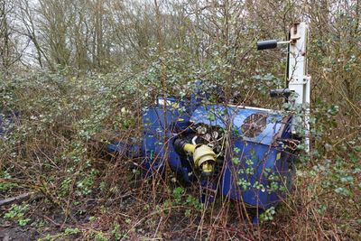 un camion bleu garé dans l'herbe
