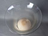 an egg in a glass bowl on a table