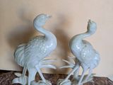 two white birds that are sitting on a table