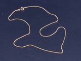 an image of a necklace with a gold chain on a blue background