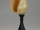 a shell sitting on top of a black stand