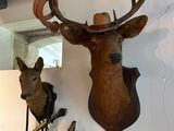several deer heads mounted on a wall in a room with a mirror