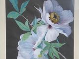 a picture of a painting of a flower in a frame