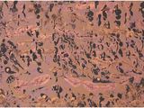 abstract painting of people and animals on a brown background