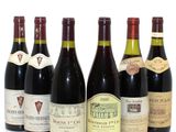 six bottles of wine are lined up in a row on a white surface