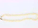 un collier de perles blanches sur fond blanc