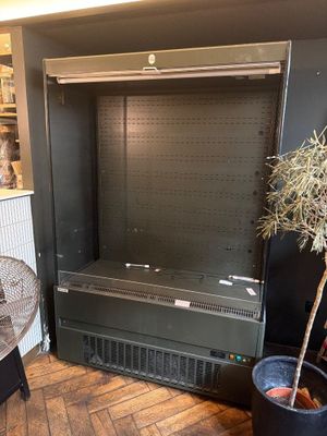 une plante en pot posée par terre devant la télévision