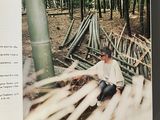 an open book with a picture of a man sitting on a bench in the woods