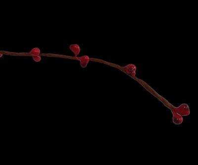 a close up of a branch with red berries on it