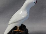 a white bird sitting on top of a rock